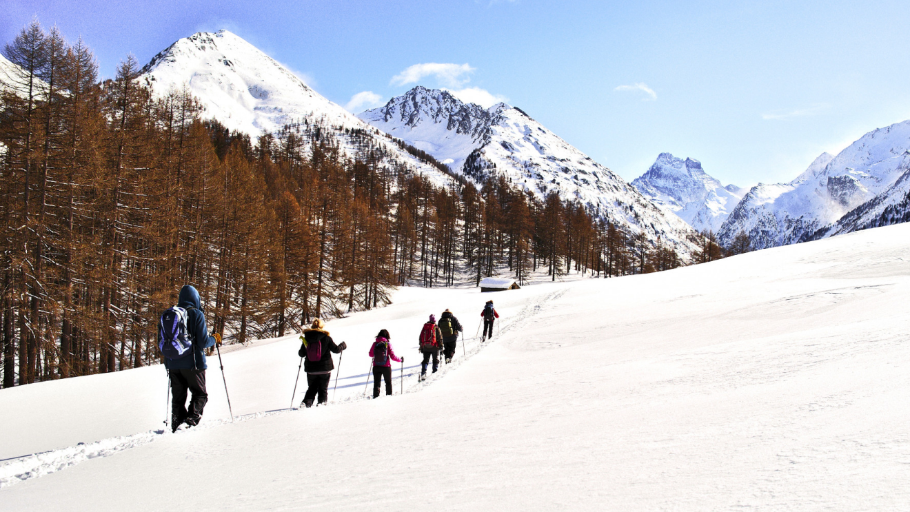 Alpine Pasture Rally